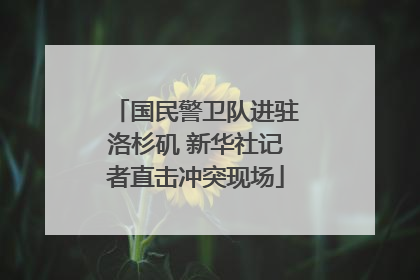国民警卫队进驻洛杉矶 新华社记者直击冲突现场